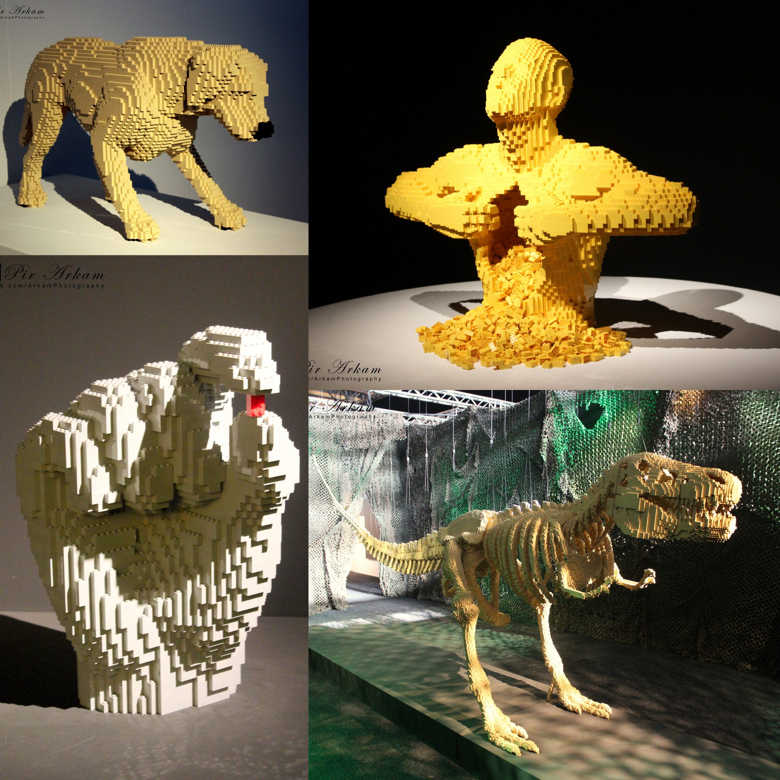 The Art of the Brick